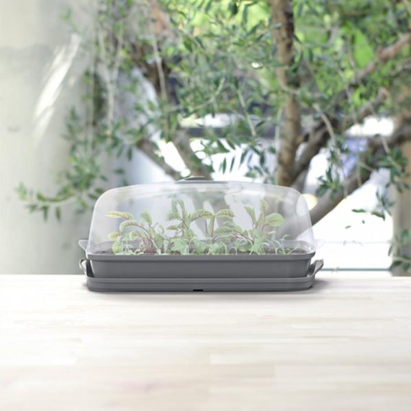 Respana szobai palántanevelő